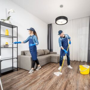 Apartment Cleaning